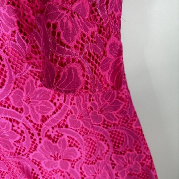 NWT $278 Lilly Pulitzer Allyson Dress Hot Pink Lace Floral Overlay Size 4 - Picture 8 of 17
